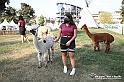 VBS_8130 - Inaugurazione 72.ma Fiera del Peperone di Carmagnola